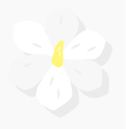 White Flower